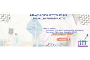 Advanced Proteases