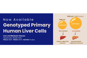 Now Available: Genotyped Primary Human Liver Cells