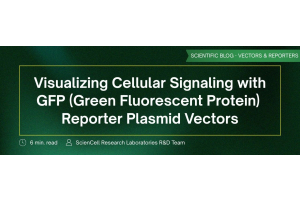 GFP Reporter