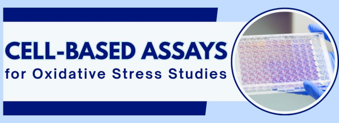 ScienCell's Cell-Based Assays for Oxidative Stress Studies!