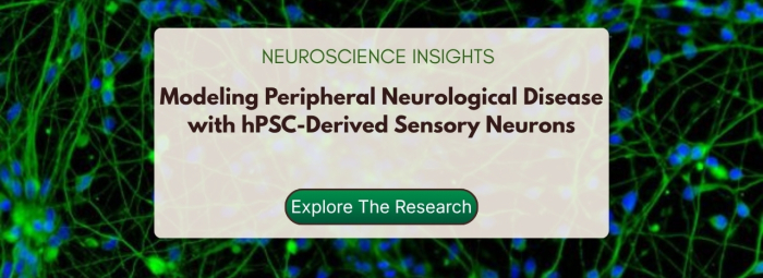 Neuroscience Insights