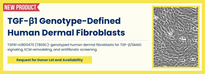 TGFB1 rs1800470-Genotyped Human Dermal Fibroblasts
