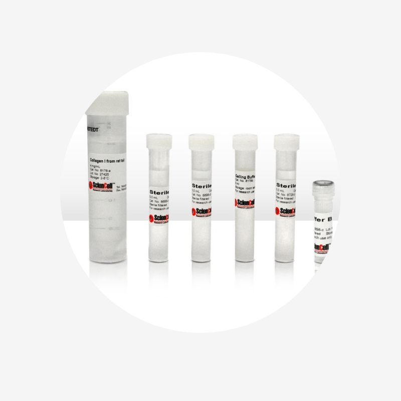 3D Collagen | Matrix Kit