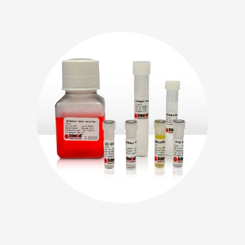 3D Basic Embedded Tubule Formation Kit