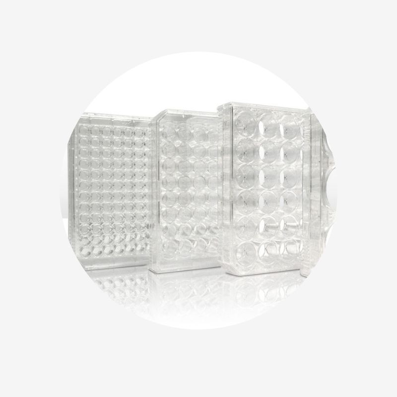 Ultra-Low Binding Culture Plates