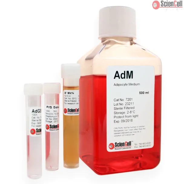 Adipocyte Medium