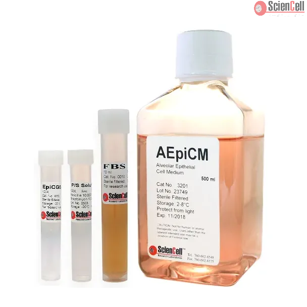 Alveolar Epithelial Cell Medium