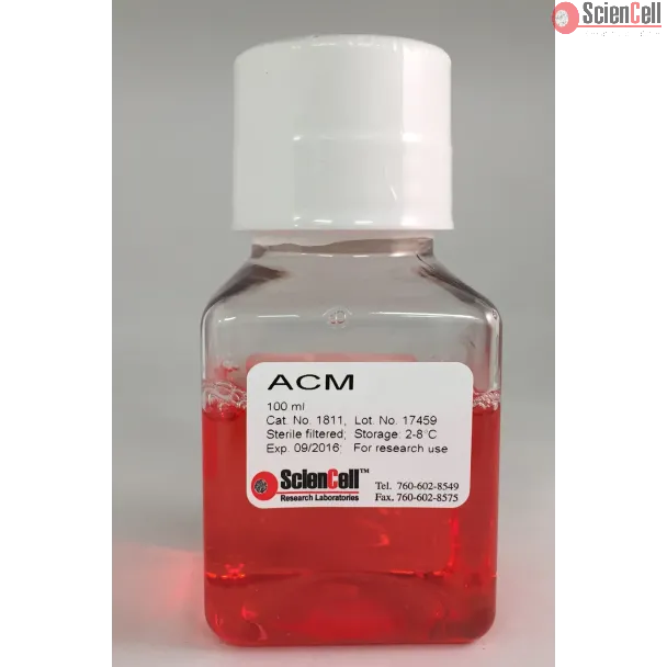 Astrocyte Conditioned Medium