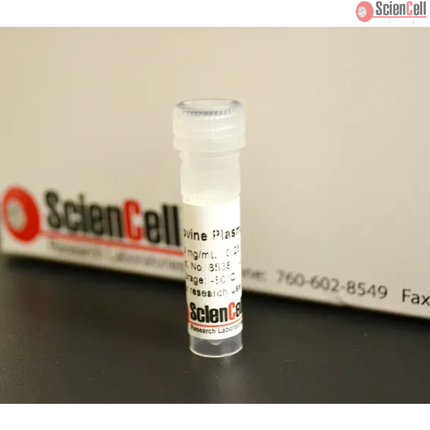 Bovine Plasma Vitronectin