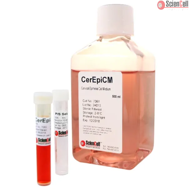 Cervical Epithelial Cell Medium