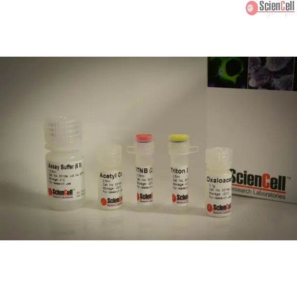 Citrate Synthase Assay