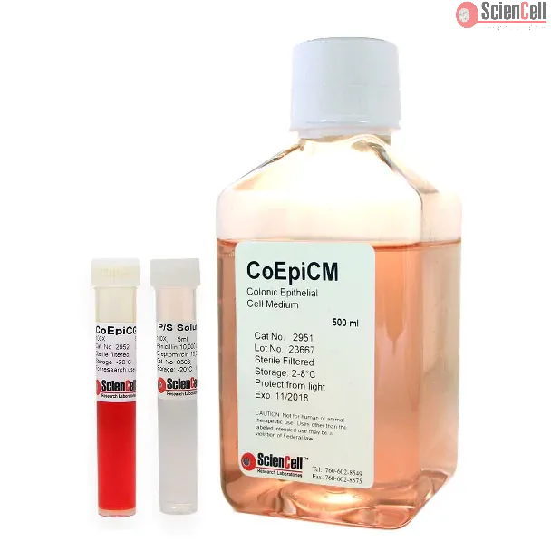 Colonic Epithelial Cell Medium
