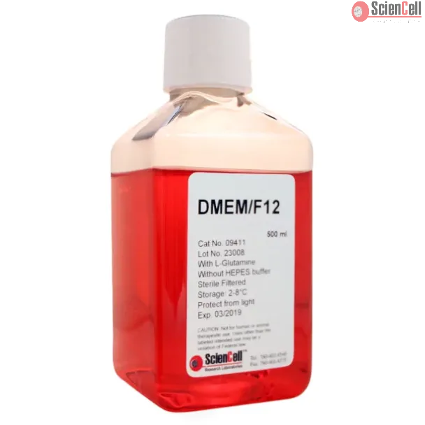 DMEM/F-12 with L-Glutamine (DMEM/F12)