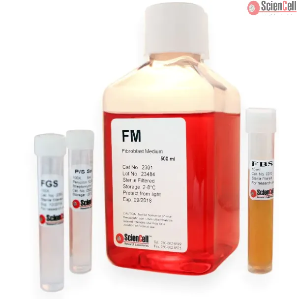 Fibroblast Medium