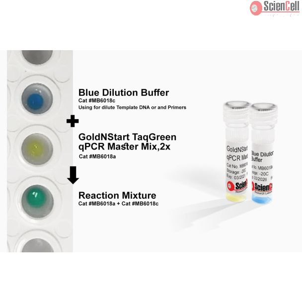 GoldNStart TaqGreen qPCR Master Mix with 2-Color Tracking