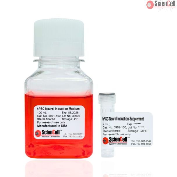 HPSC Neural Induction Medium