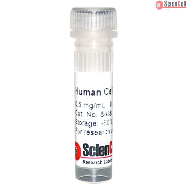 Human Cellular Fibronectin