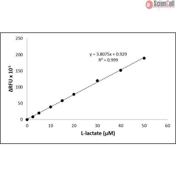 L-Lactate Assay- Fluorescence