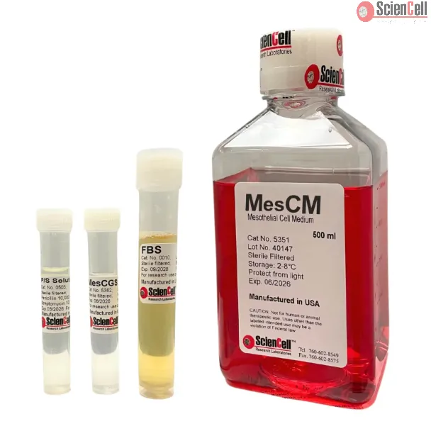 Mesothelial Cell Medium