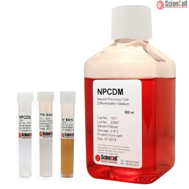 Neural Precursor Cell Differentiation Medium