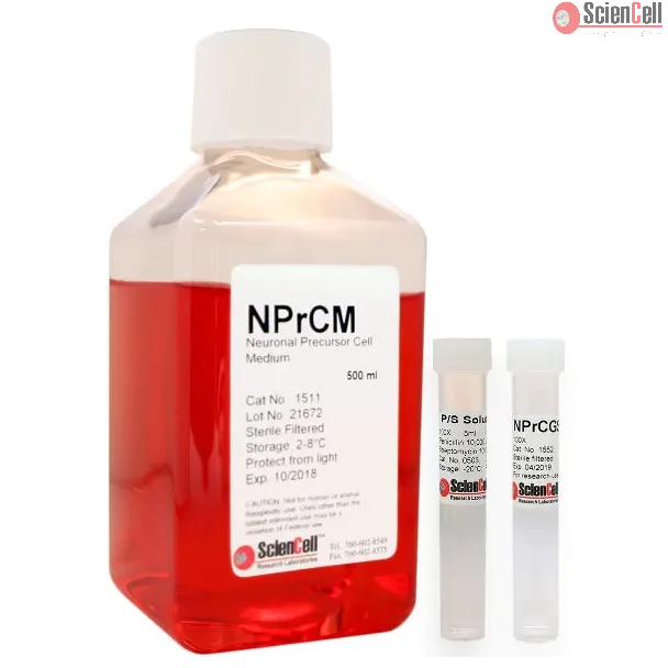 Neural Precursor Cell Medium