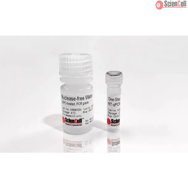 One-Step TaqProbe RT-qPCR Master Mix, 4x