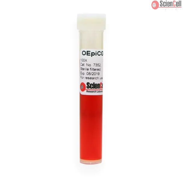 Ovarian Epithelial Cell Growth Supplement