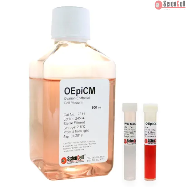 Ovarian Epithelial Cell Medium