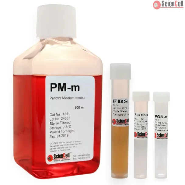 Pericyte Medium-mouse