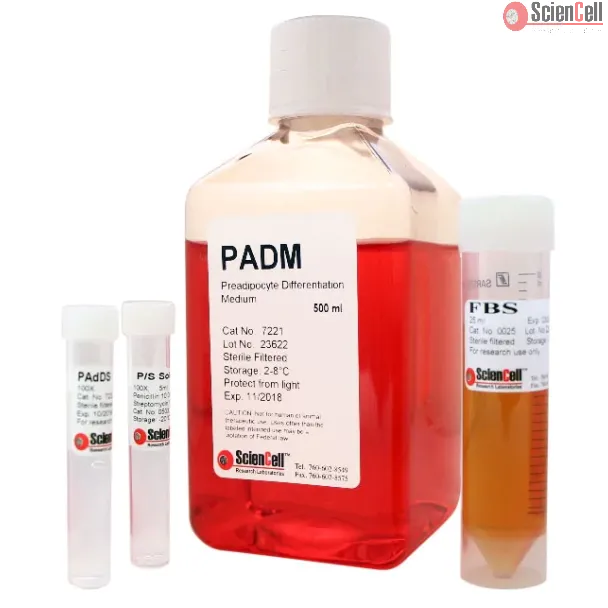 Preadipocyte Differentiation Medium
