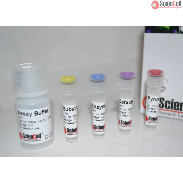 Pyruvate Assay