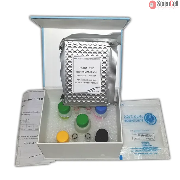 Rat TGF-β1 ELISA Kit 