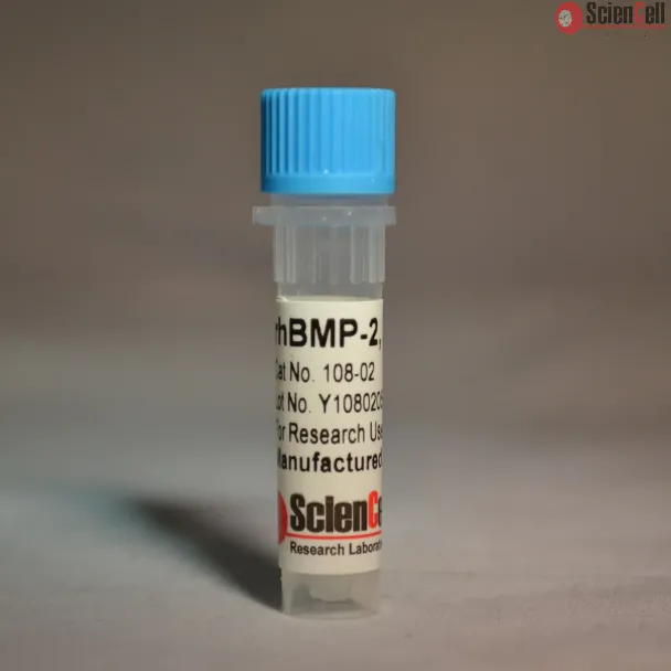 Recombinant Human Bone Morphogenetic Protein-2
