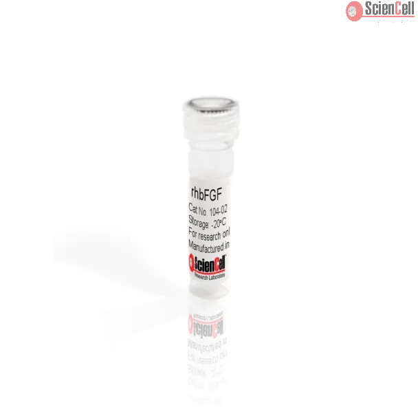 Recombinant Human Fibroblast Growth Factor-basic