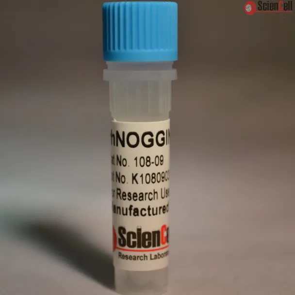 Recombinant Human NOGGIN