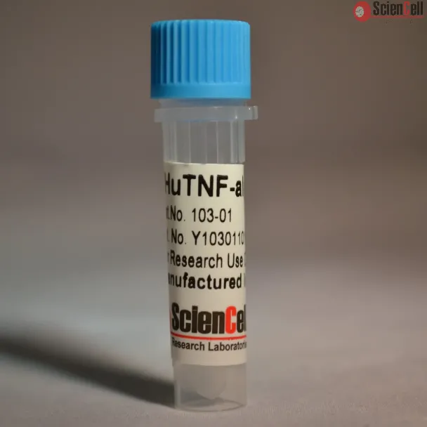 Recombinant Human Tumor Necrosis Factor-alpha 