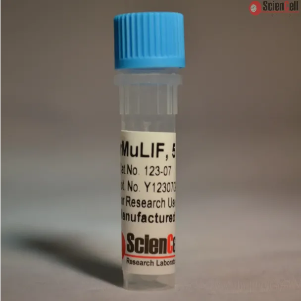 Recombinant Murine Leukemia Inhibitory Factor 