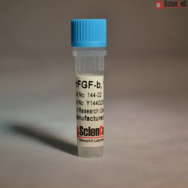 Recombinant Rat Fibroblast Growth Factor-basic
