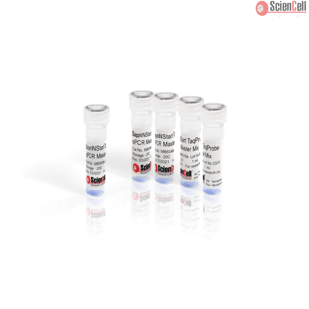 SapphiNStart TaqProbe qPCR Master Mix