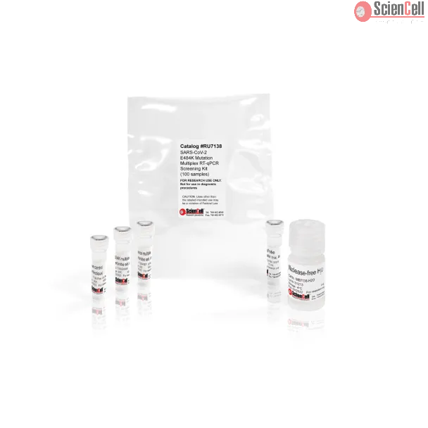 SARS-CoV-2 E484K Mutation Multiplex RT-qPCR Screening Kit