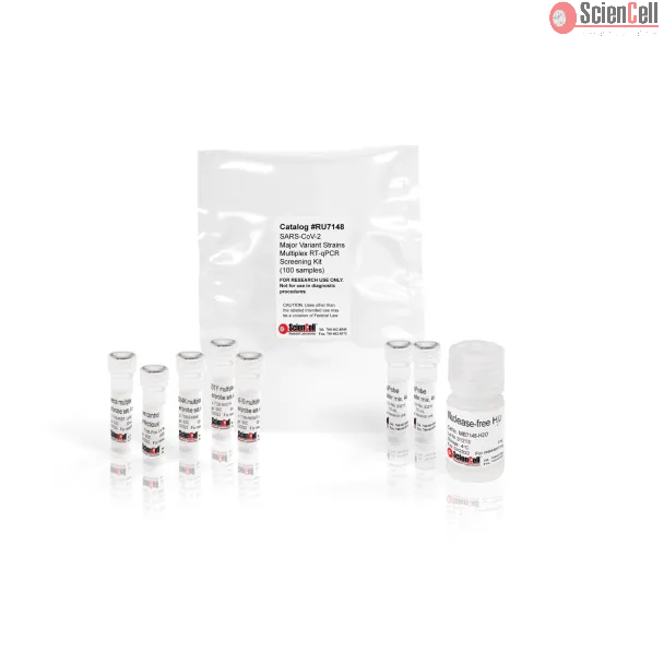SARS-CoV-2 Major Variant Strains Multiplex RT-qPCR Screening Kit