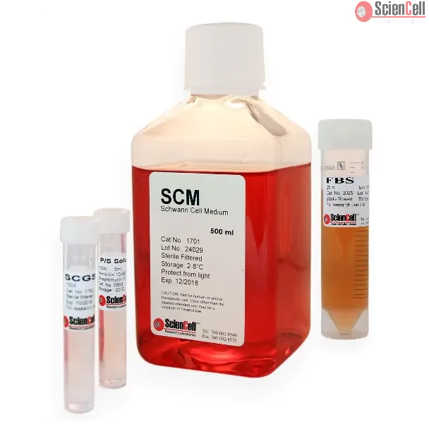 Schwann Cell Medium