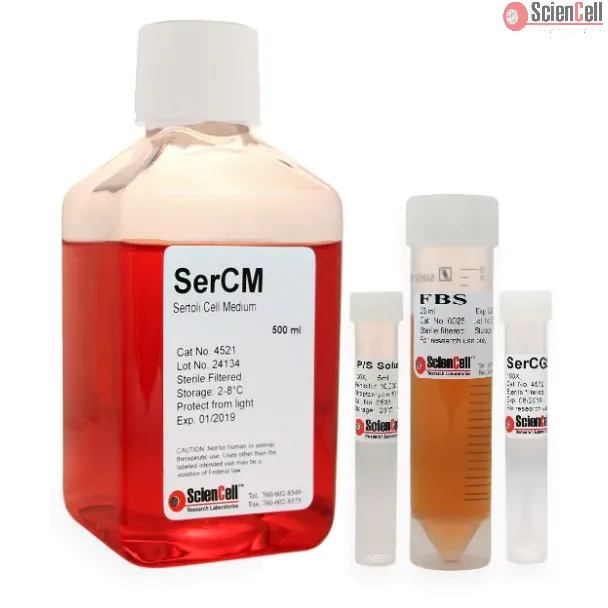 Sertoli Cell Medium