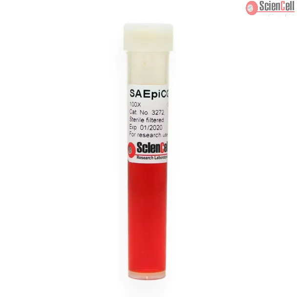 Small Airway Epithelial Cell Growth Supplement