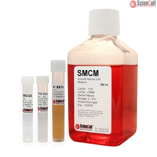 Smooth Muscle Cell Medium, SMCM