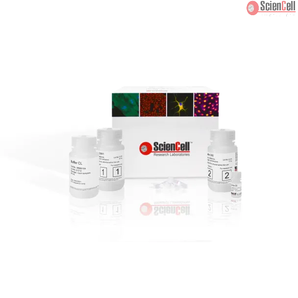 SpeeDNA Isolation Kit - 200 preps