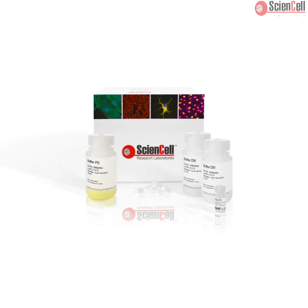 SpeeDNA PCR Purification Kit, 250 preps
