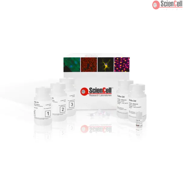 SDPM Kit, 250 preps, Plasmid DNA MiniPrep Kit

