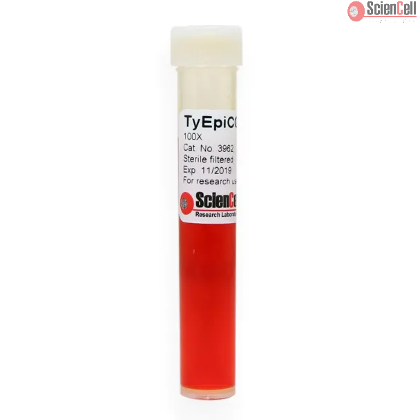 Thymic Epithelial Cell Growth Supplement 
