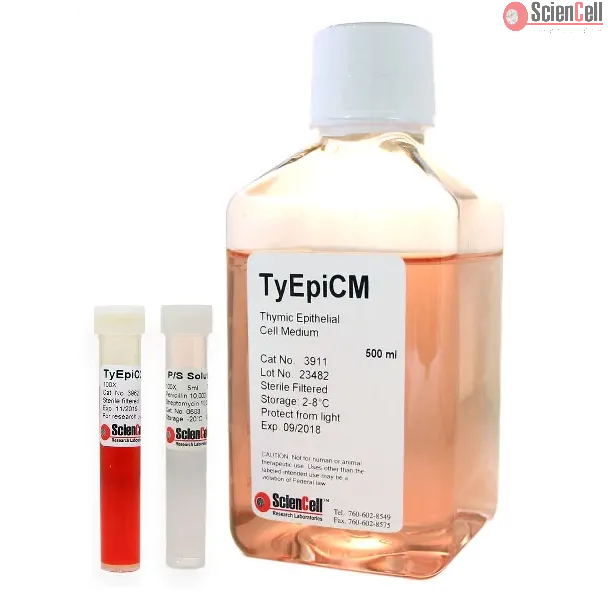 Thymic Epithelial Cell Medium